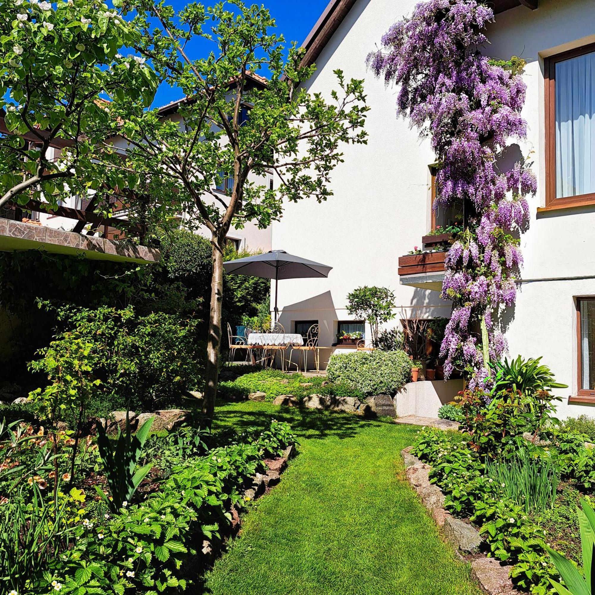 Anka Vila Władysławowo Exterior foto